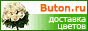Buton.RU - Доставка цветов